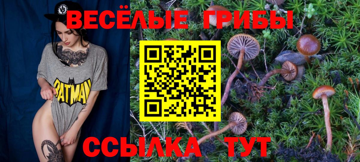 Галлюциногенные грибы MAGIC MUSHROOMS  Псилоцибиновые грибы ЛСД  Надым  Вход с VPN 